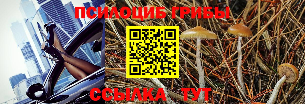 Псилоцибиновые грибы Magic Shrooms Каспийск