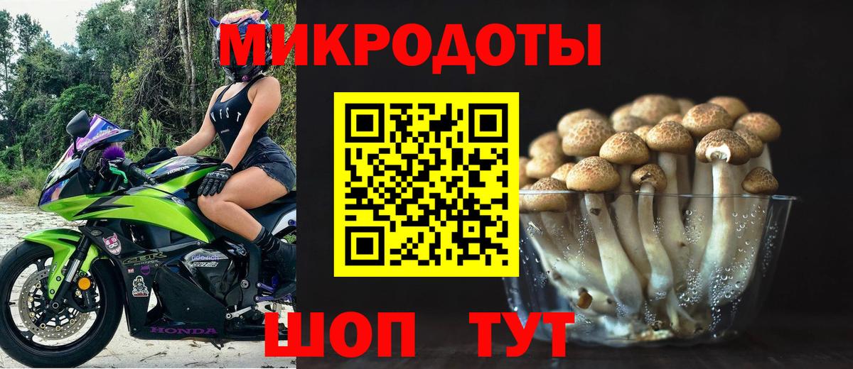 Каспийск  Галлюциногенные грибы ЛСД  Вход с VPN  Галлюциногенные грибы мицелий 